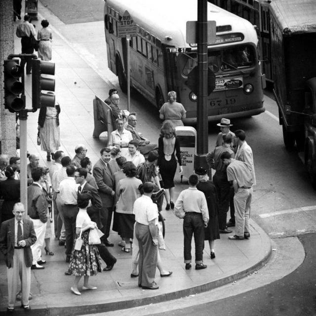 daily picdump 98 pics 9.html - 98 HD Photos | Premium Gallery 2018