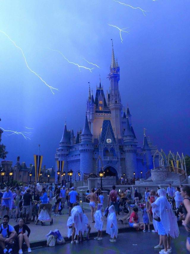 daily picdump 98 pics 9.html - 98 HD Photos | Premium Gallery 2018