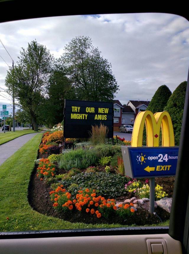 daily picdump 98 pics 33.html - 98 HD Photos | Premium Gallery 2018