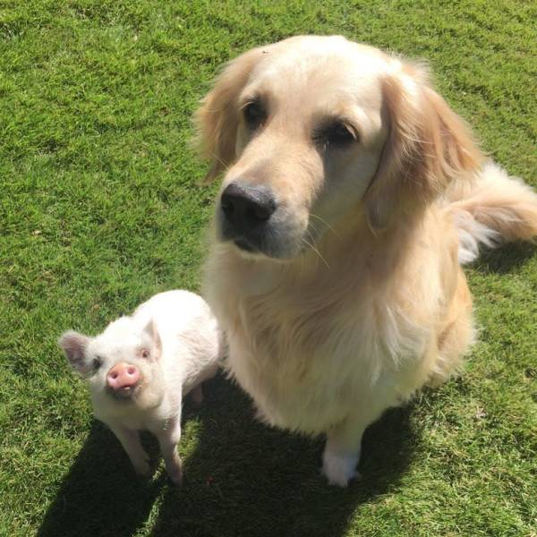 Daily Picdump [WEEKEND EDITION]