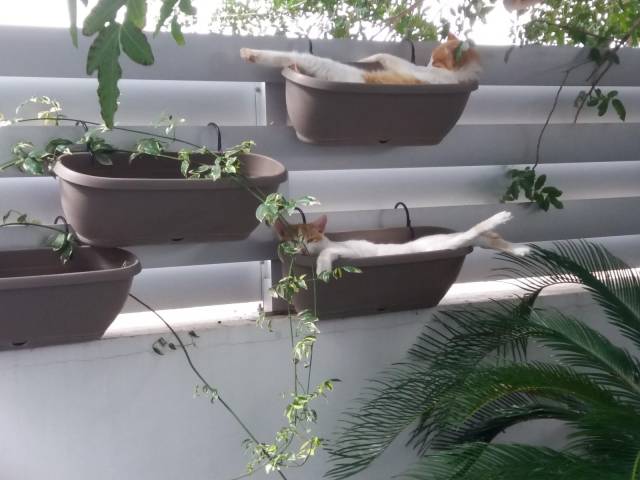 daily picdump weekend edition 67 pics 10.html - 67 HD Photos | Premium Gallery 2018