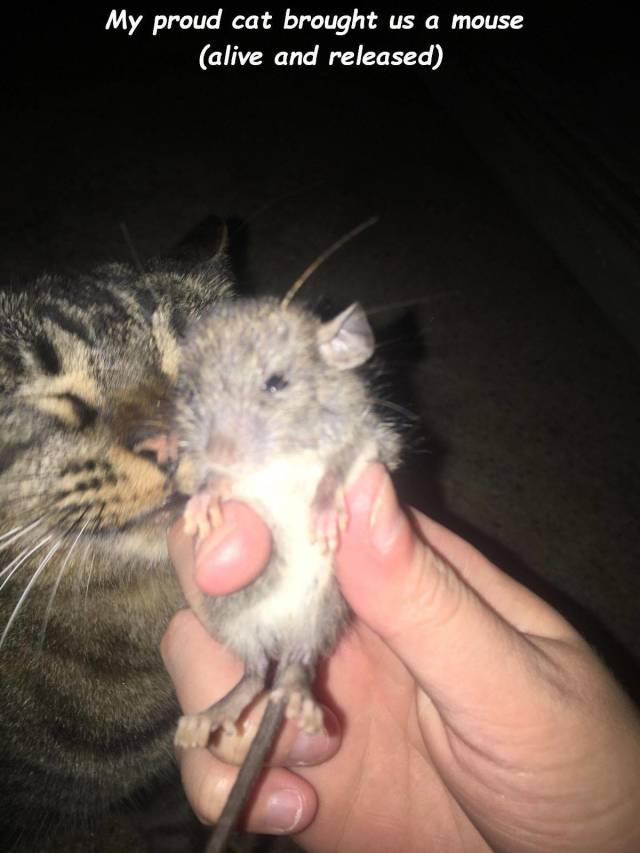 Daily Picdump [WEEKEND EDITION]