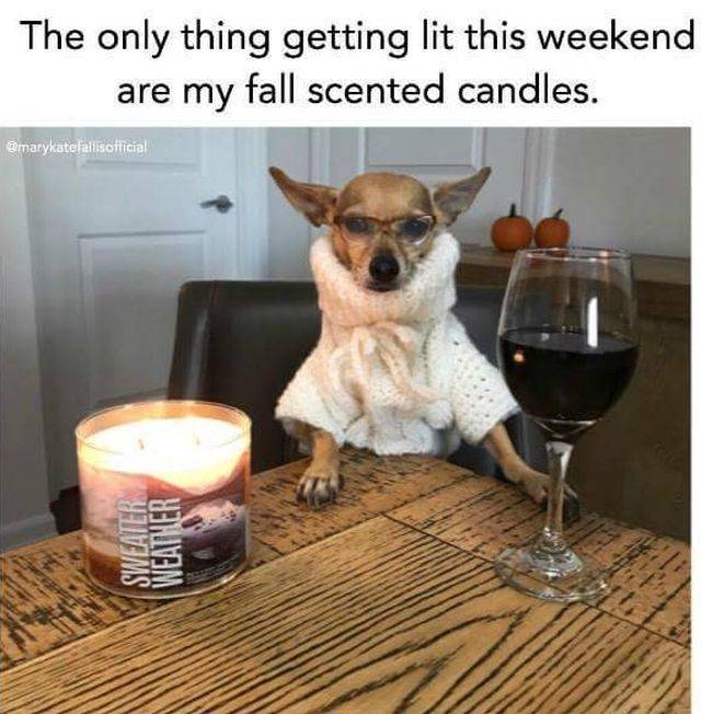 daily picdump weekend edition 67 pics 10.html - 67 HD Photos | Premium Gallery 2018