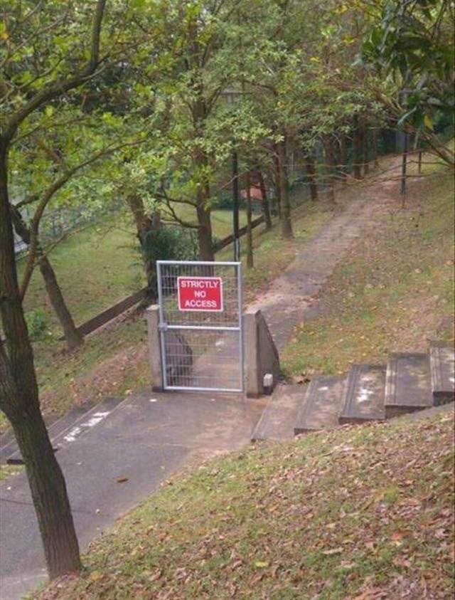 daily picdump weekend edition 67 pics 10.html - 67 HD Photos | Premium Gallery 2018