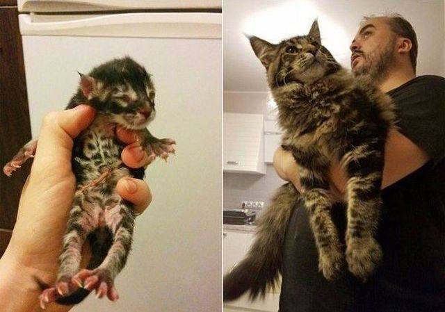 Daily Picdump