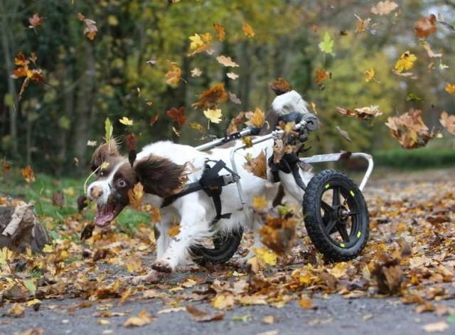 daily picdump 96 pics 1.html - 96 HD Photos | Premium Gallery 2018