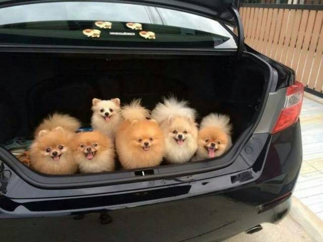 daily picdump 96 pics 1.html - 96 HD Photos | Premium Gallery 2018