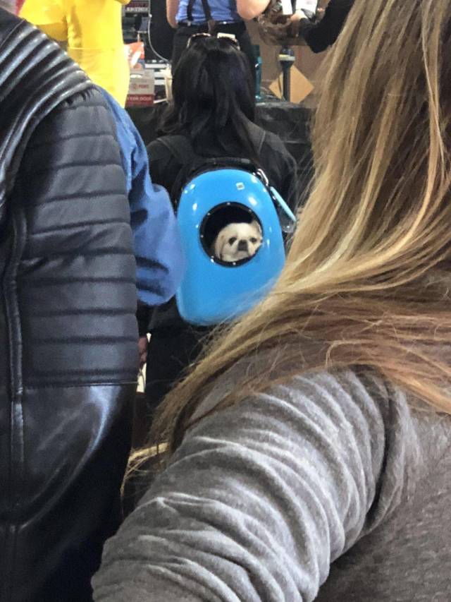 daily picdump 96 pics 1.html - 96 HD Photos | Premium Gallery 2018