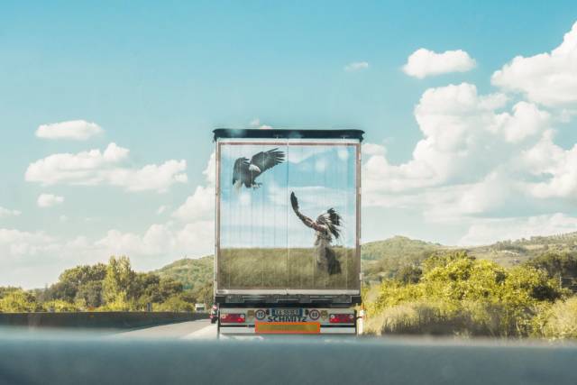 daily picdump 101 pics 7.html - 101 HD Photos | Premium Gallery 2018