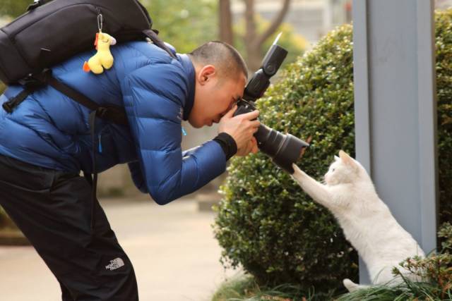 daily picdump 101 pics 7.html - 101 HD Photos | Premium Gallery 2018