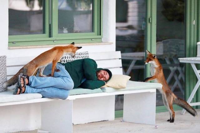 daily picdump 101 pics 7.html - 101 HD Photos | Premium Gallery 2018