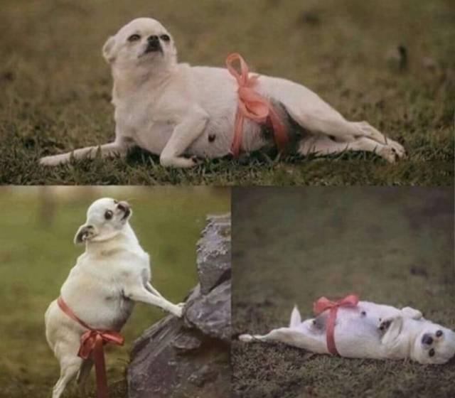 daily picdump 101 pics 7.html - 101 HD Photos | Premium Gallery 2018