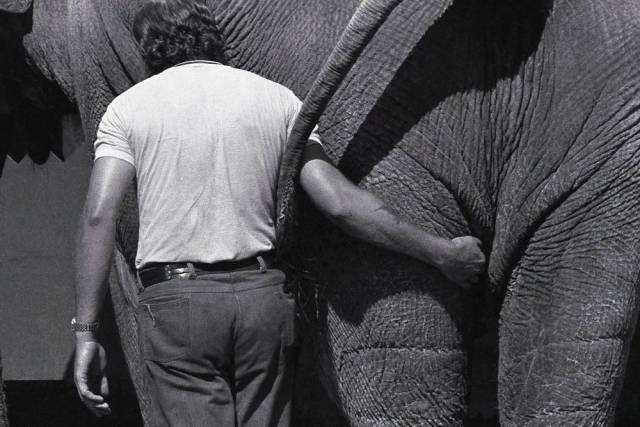 daily picdump 101 pics 7.html - 101 HD Photos | Premium Gallery 2018