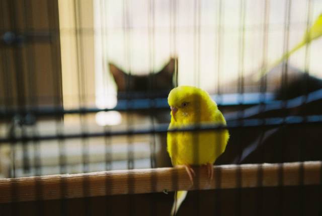 daily picdump 101 pics 7.html - 101 HD Photos | Premium Gallery 2018