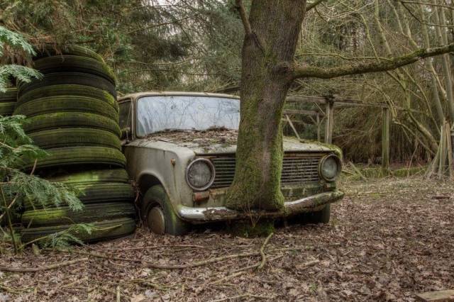 daily picdump 101 pics 7.html - 101 HD Photos | Premium Gallery 2018