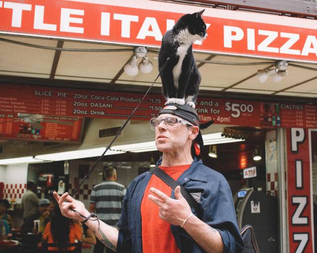 daily picdump 101 pics 7.html - 101 HD Photos | Premium Gallery 2018