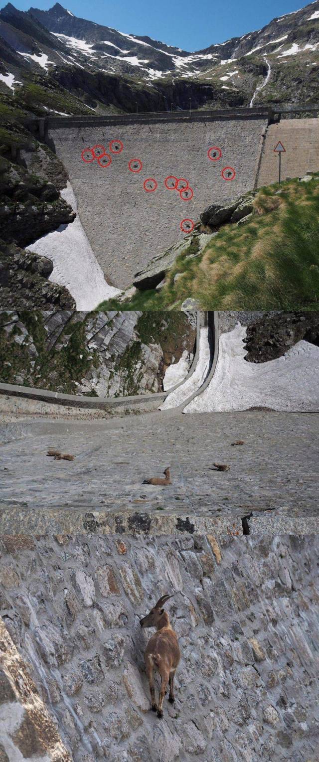 daily picdump 101 pics 7.html - 101 HD Photos | Premium Gallery 2018