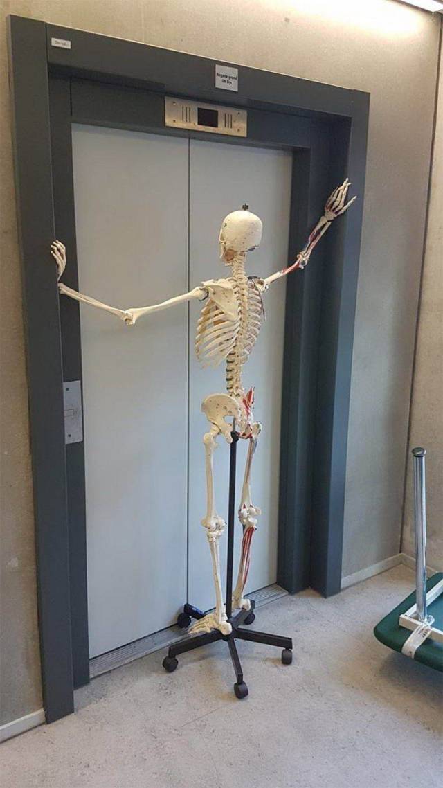 daily picdump 101 pics 7.html - 101 HD Photos | Premium Gallery 2018