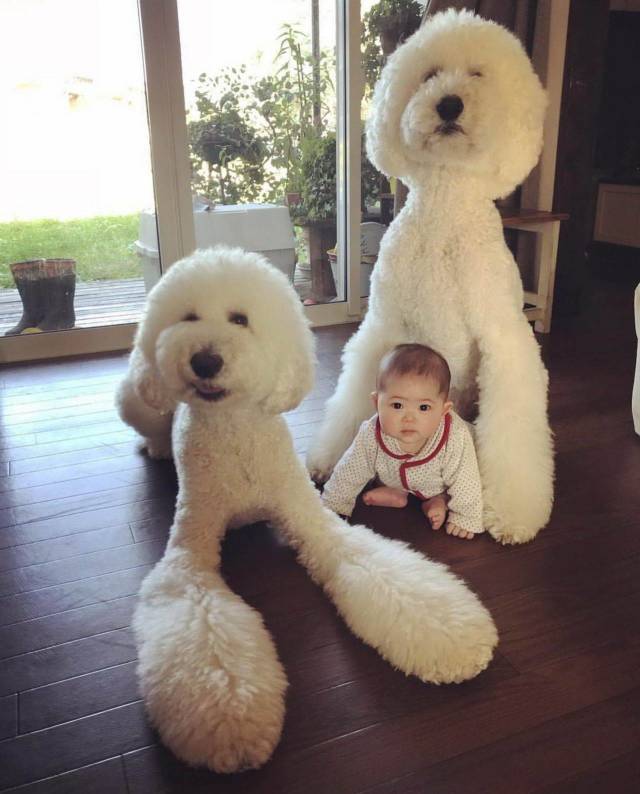 daily picdump 101 pics 7.html - 101 HD Photos | Premium Gallery 2018