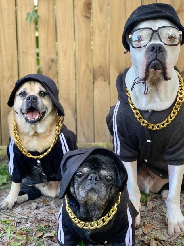 daily picdump 101 pics 7.html - 101 HD Photos | Premium Gallery 2018