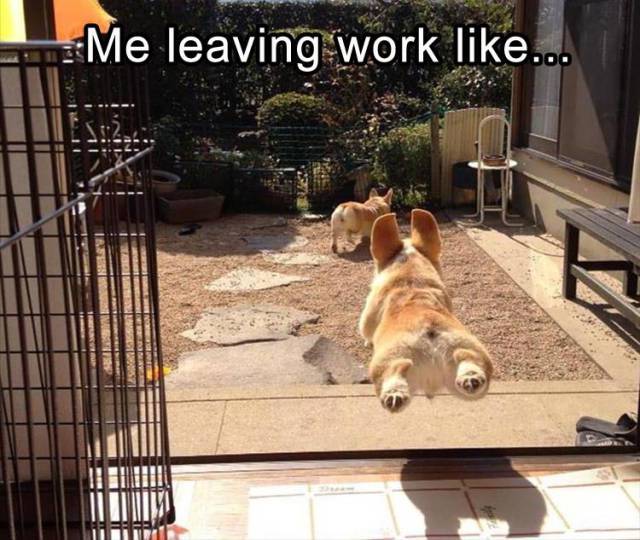 funny picdump 54 pics 3.html - 54 HD Photos | Premium Gallery 2018