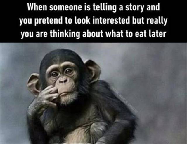 funny picdump 54 pics 3.html - 54 HD Photos | Premium Gallery 2018