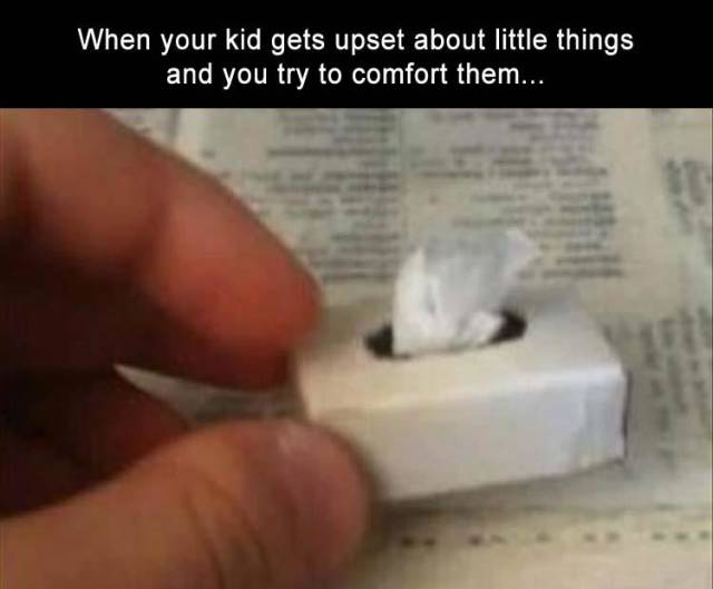 funny picdump 54 pics 3.html - 54 HD Photos | Premium Gallery 2018