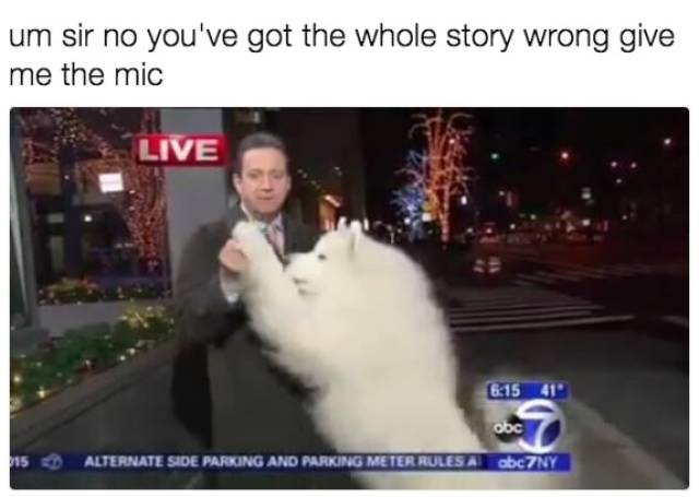 Funny Picdump