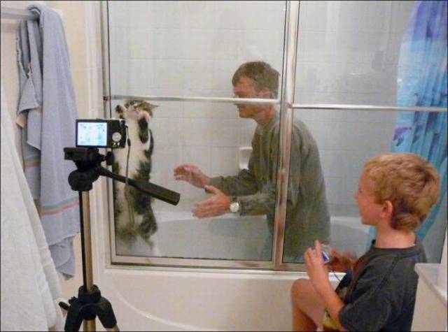 Daily Picdump