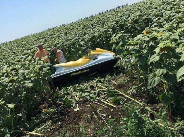 daily picdump 99 pics 11.html - 99 HD Photos | Premium Gallery 2018