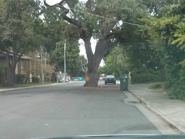 daily picdump 99 pics 11.html - 99 HD Photos | Premium Gallery 2018