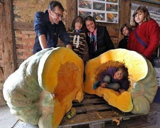 daily picdump 99 pics 11.html - 99 HD Photos | Premium Gallery 2018