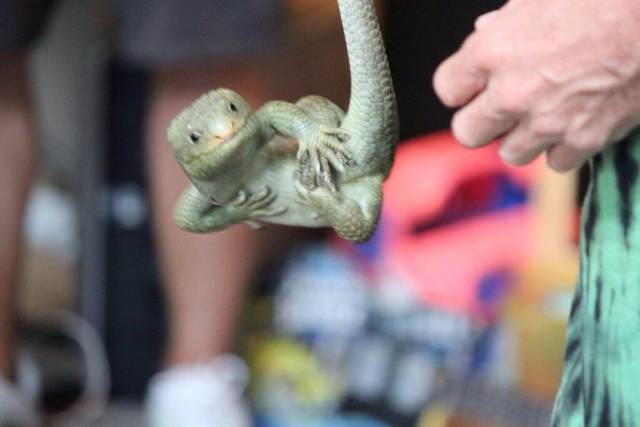 daily picdump 99 pics 11.html - 99 HD Photos | Premium Gallery 2018