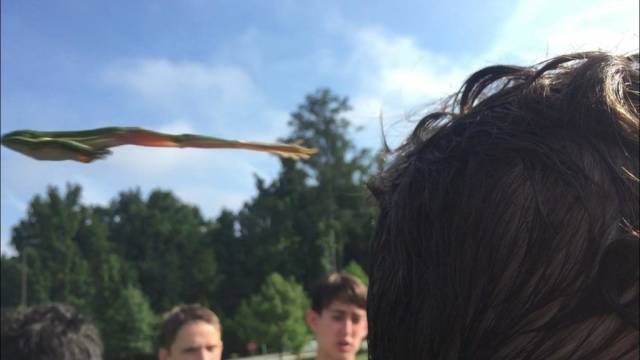 daily picdump 99 pics 11.html - 99 HD Photos | Premium Gallery 2018