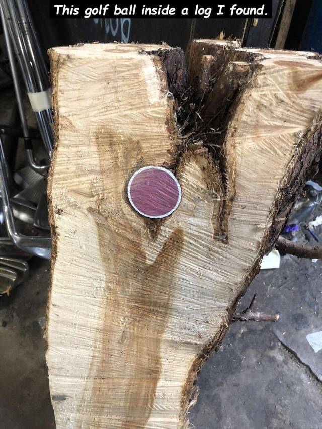 daily picdump 99 pics 11.html - 99 HD Photos | Premium Gallery 2018