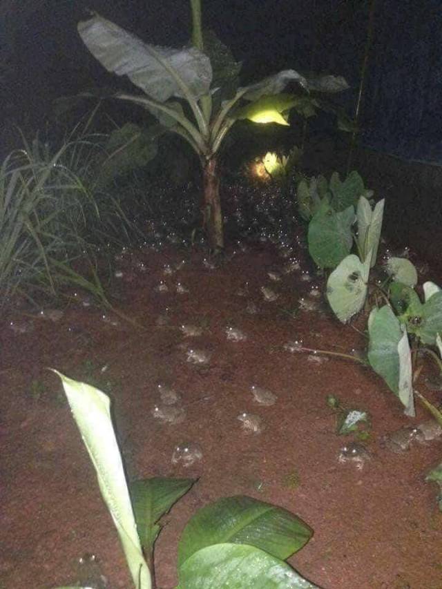 daily picdump 99 pics 11.html - 99 HD Photos | Premium Gallery 2018