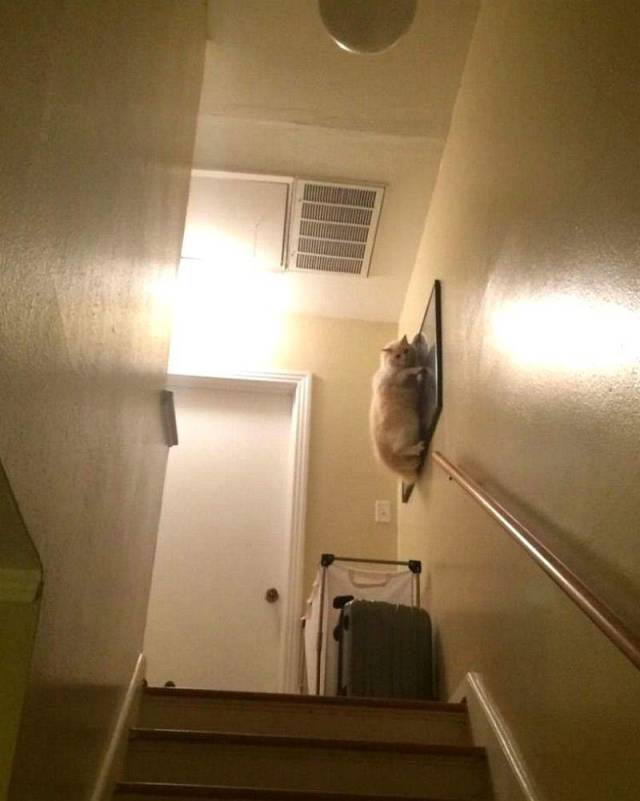 daily picdump 99 pics 11.html - 99 HD Photos | Premium Gallery 2018