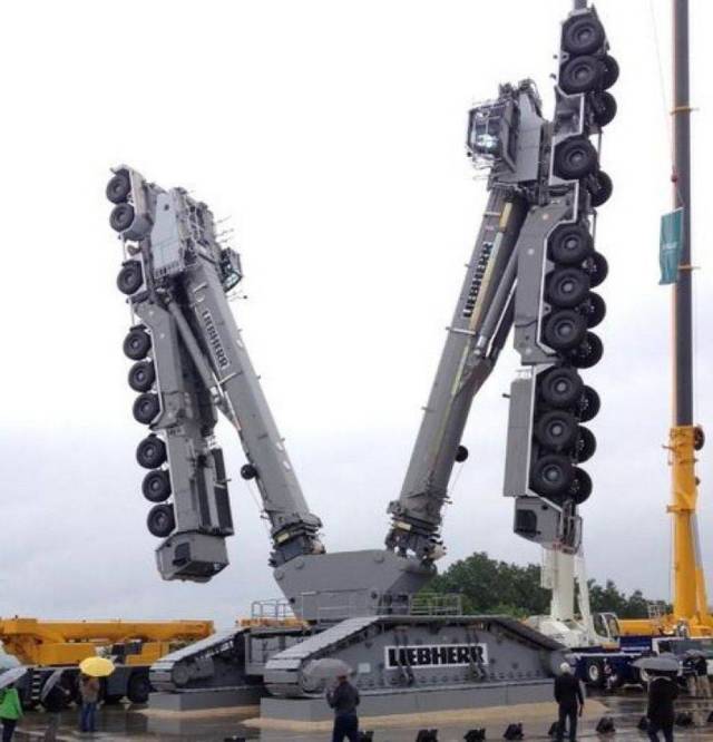 daily picdump 99 pics 11.html - 99 HD Photos | Premium Gallery 2018