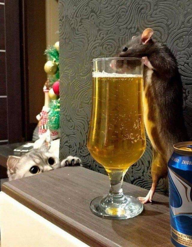 daily picdump 99 pics 11.html - 99 HD Photos | Premium Gallery 2018