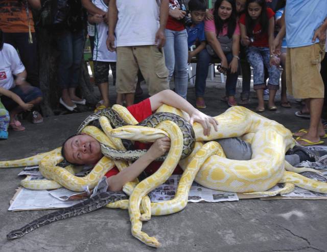 Hard-to-explain WTF Photos