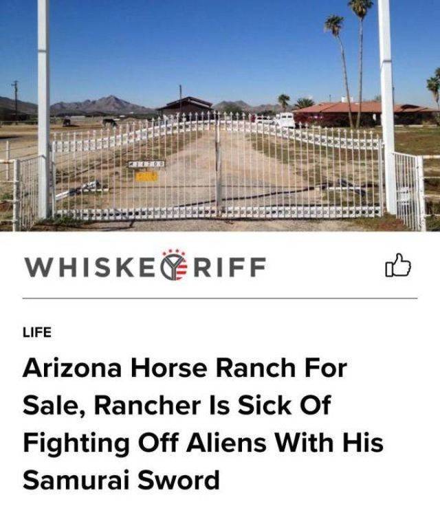 Hard-to-explain WTF Photos