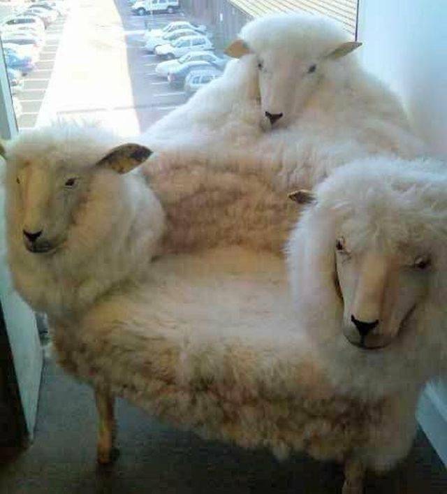 Hard-to-explain WTF Photos