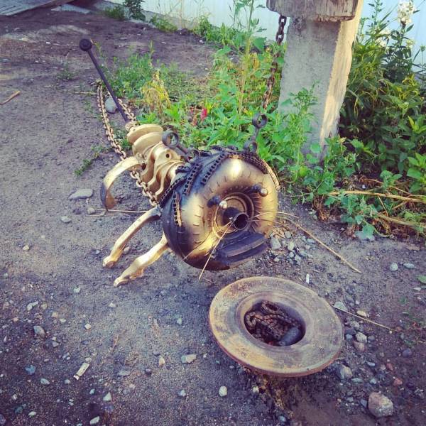 Morning Picdump