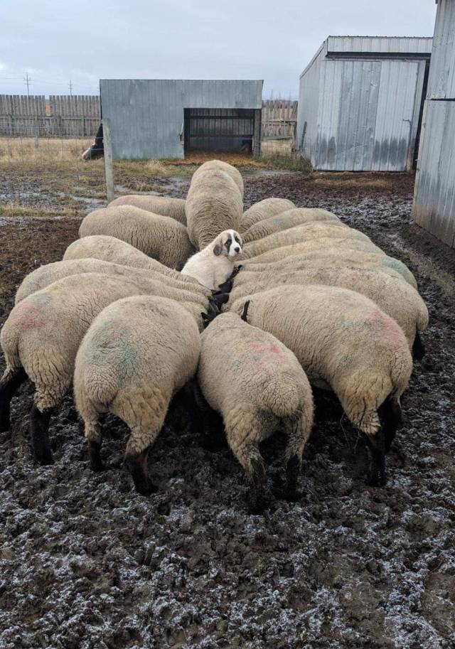 morning picdump 50 pics 11.html - 50 HD Photos | Premium Gallery 2018