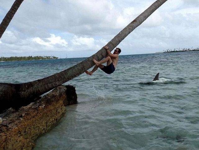 daily picdump 99 pics 31.html - 99 HD Photos | Premium Gallery 2018