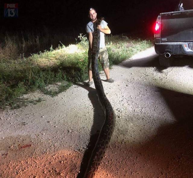 daily picdump 99 pics 31.html - 99 HD Photos | Premium Gallery 2018