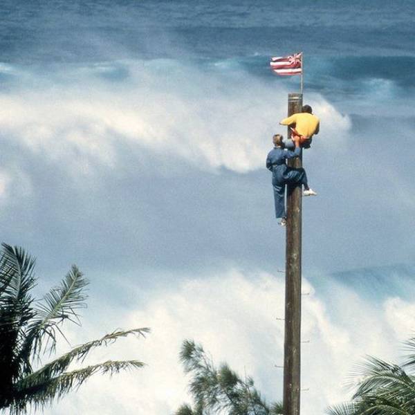 daily picdump 99 pics 31.html - 99 HD Photos | Premium Gallery 2018