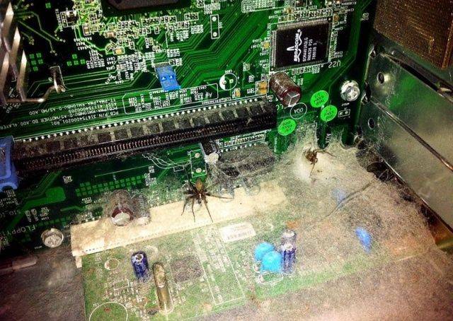 daily picdump 99 pics 31.html - 99 HD Photos | Premium Gallery 2018