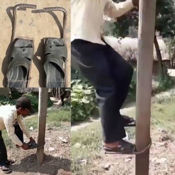 daily picdump 99 pics 31.html - 99 HD Photos | Premium Gallery 2018