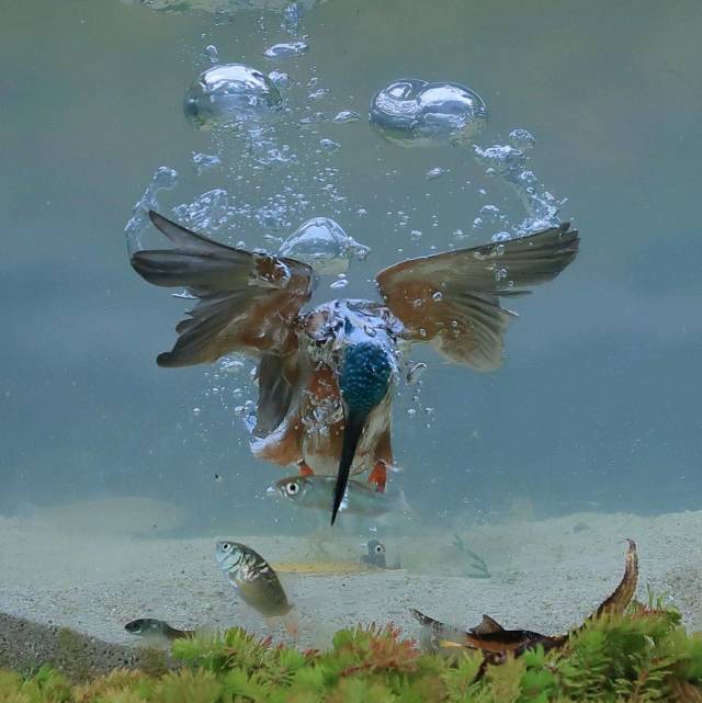 daily picdump 99 pics 31.html - 99 HD Photos | Premium Gallery 2018